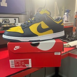 Nike dunks “Michigan” - men’s 12